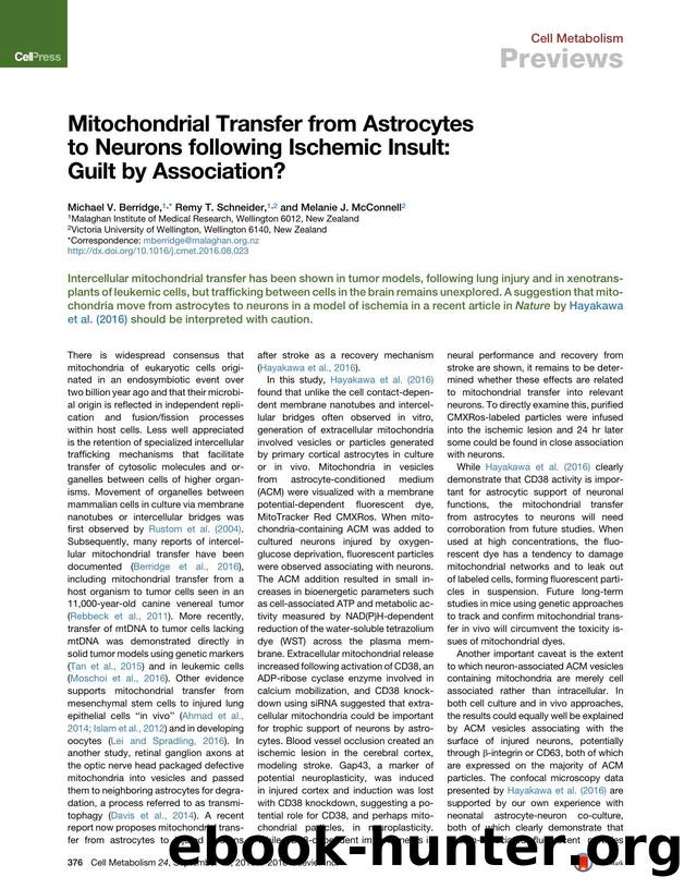 Mitochondrial Transfer from Astrocytes to Neurons following Ischemic Insult: Guilt by Association? by Michael V. Berridge & Remy T. Schneider & Melanie J. McConnell