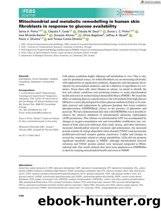 Mitochondrial and metabolic remodelling in human skin fibroblasts in response to glucose availability by Unknown