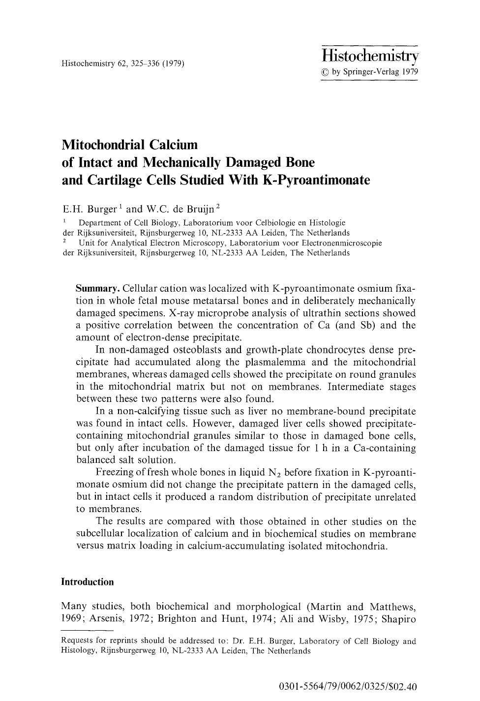 Mitochondrial calcium of intact and mechanically damaged bone and cartilage cells studied with K-pyroantimonate by Unknown