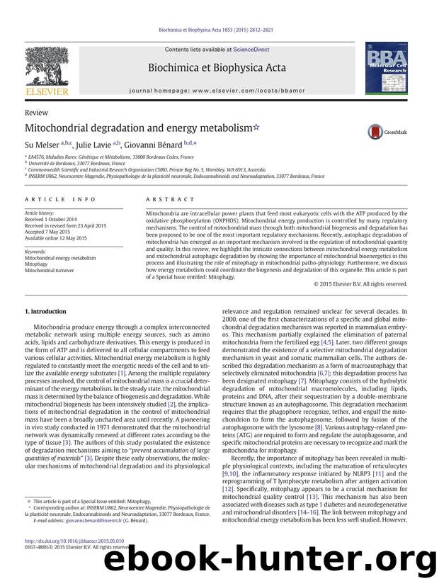 Mitochondrial degradation and energy metabolism by Su Melser & Julie Lavie & Giovanni Bénard