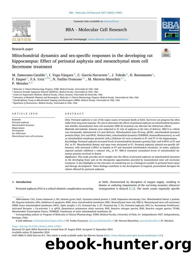 Mitochondrial dynamics and sex-specific responses in the developing rat hippocampus: Effect of perinatal asphyxia and mesenchymal stem cell Secretome treatment by unknow