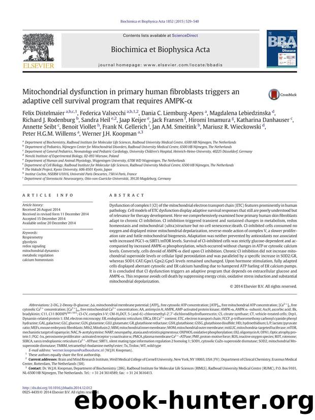 Mitochondrial dysfunction in primary human fibroblasts triggers an adaptive cell survival program that requires AMPK-Î± by unknow