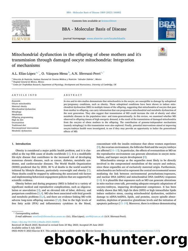 Mitochondrial dysfunction in the offspring of obese mothers and it's transmission through damaged oocyte mitochondria: Integration of mechanisms by A.L. Elías-López & O. Vázquez-Mena & A.N. Sferruzzi-Perri