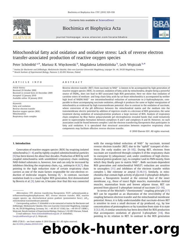 Mitochondrial fatty acid oxidation and oxidative stress: Lack of reverse electron transfer-associated production of reactive oxygen species by Peter Schönfeld; Mariusz R. Więckowski; Magdalena Lebiedzińska; Lech Wojtczak