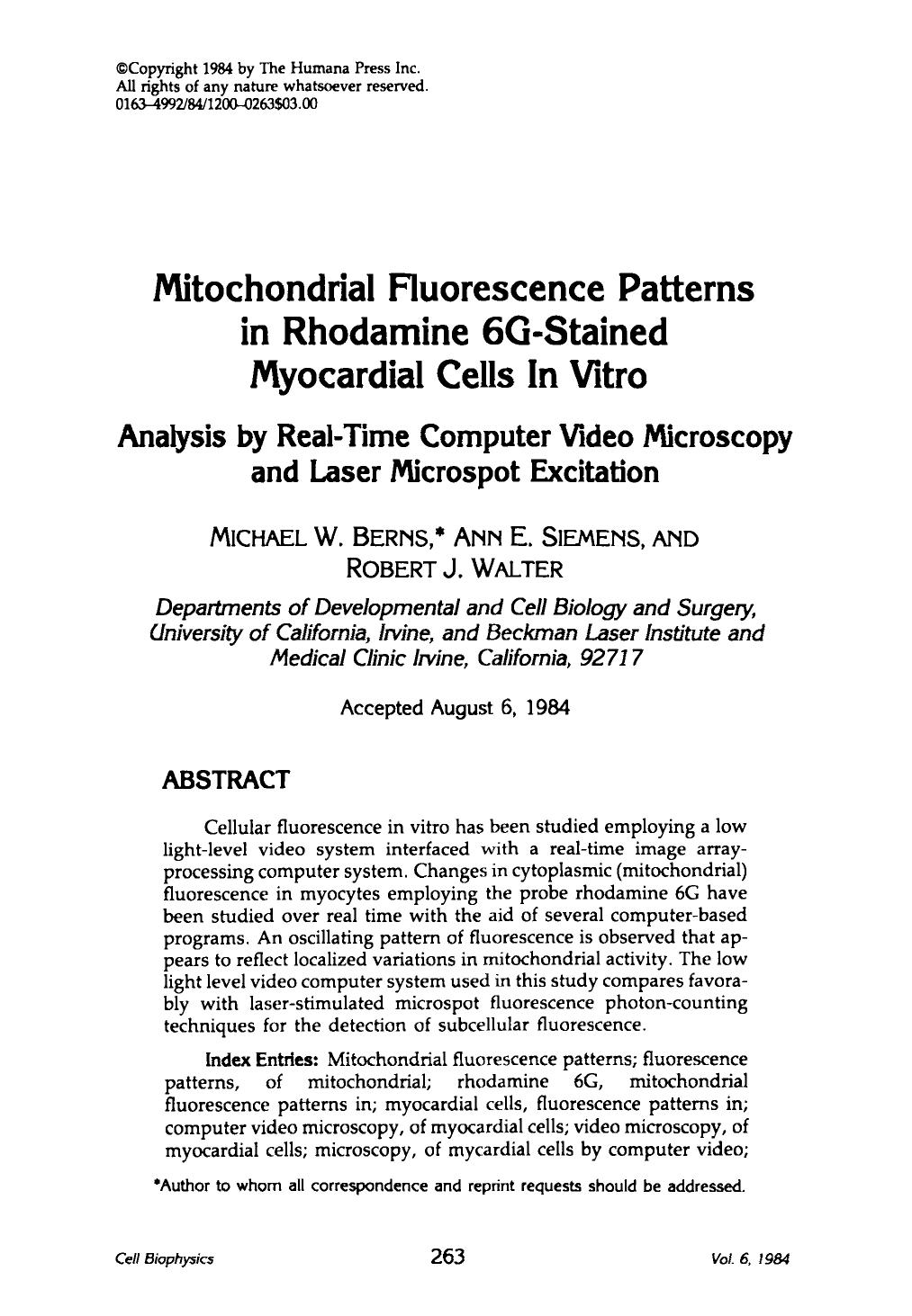 Mitochondrial fluorescence patterns in rhodamine 6G-stained myocardial cells in vitro by Unknown