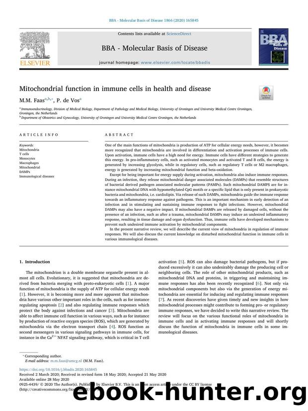 Mitochondrial function in immune cells in health and disease by M.M. Faas & P. de Vos