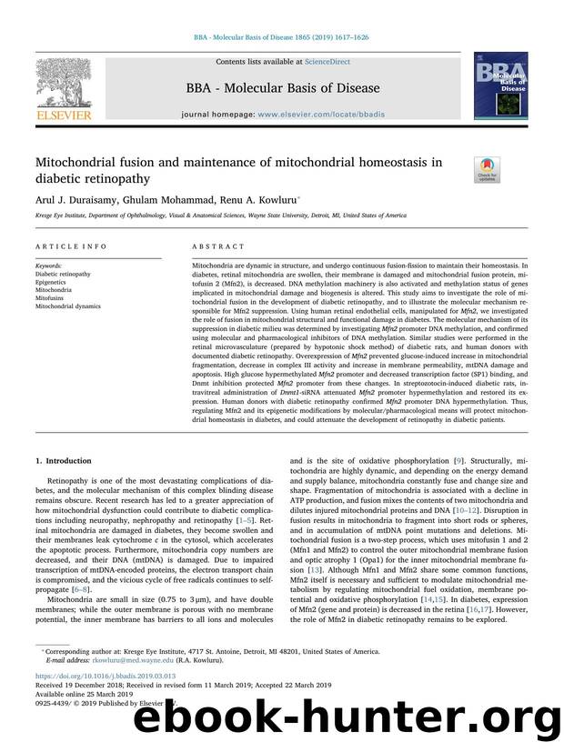 Mitochondrial fusion and maintenance of mitochondrial homeostasis in diabetic retinopathy by Arul J. Duraisamy & Ghulam Mohammad & Renu A. Kowluru