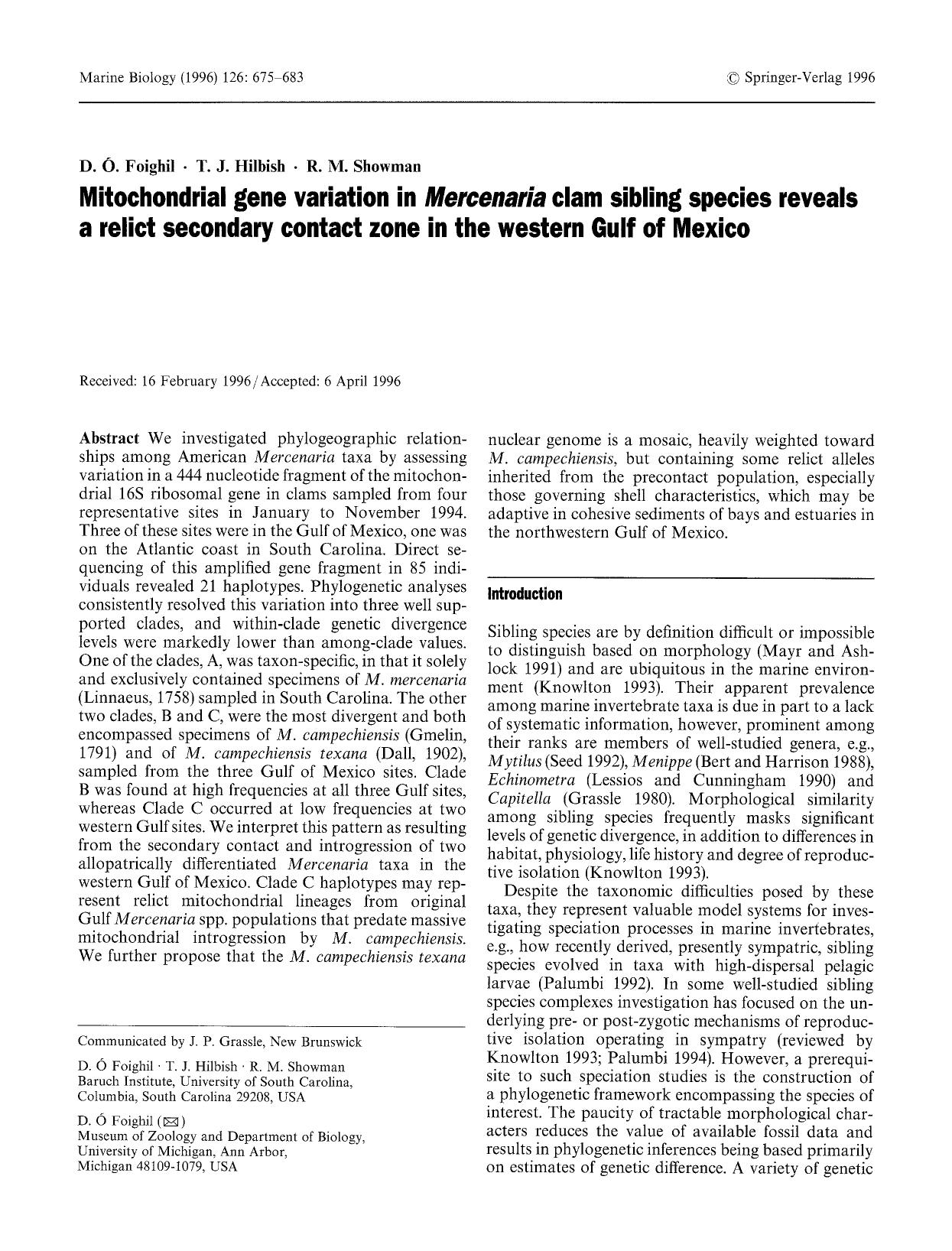 Mitochondrial gene variation in <Emphasis Type="Italic">Mercenaria<Emphasis> clam sibling species reveals a relict secondary contact zone in the western Gulf of Mexico by Unknown