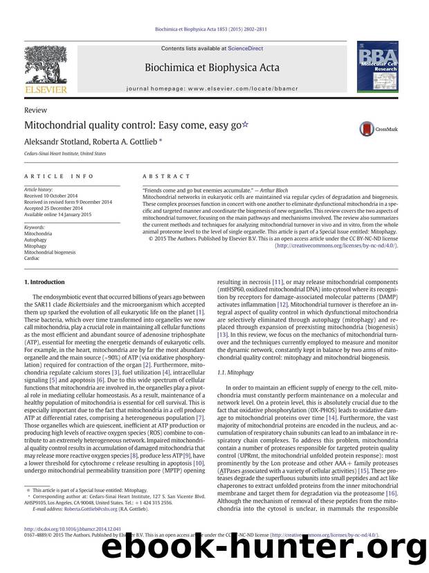 Mitochondrial quality control: Easy come, easy go by Aleksandr Stotland & Roberta A. Gottlieb