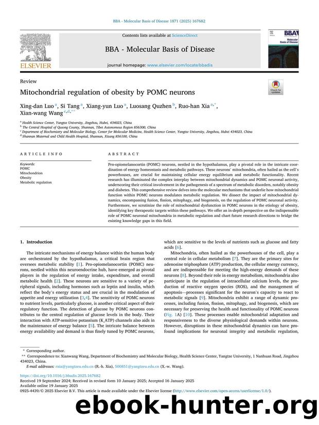 Mitochondrial regulation of obesity by POMC neurons by Xing-dan Luo & Si Tang & Xiang-yun Luo & Luosang Quzhen & Ruo-han Xia & Xian-wang Wang