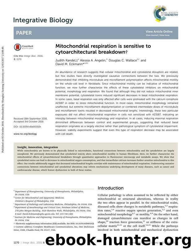 Mitochondrial respiration is sensitive to cytoarchitectural breakdown by Judith Kandel & Alessia A. Angelin & Douglas C. Wallace & David M. Eckmann