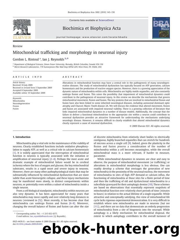 Mitochondrial trafficking and morphology in neuronal injury by Gordon L. Rintoul; Ian J. Reynolds