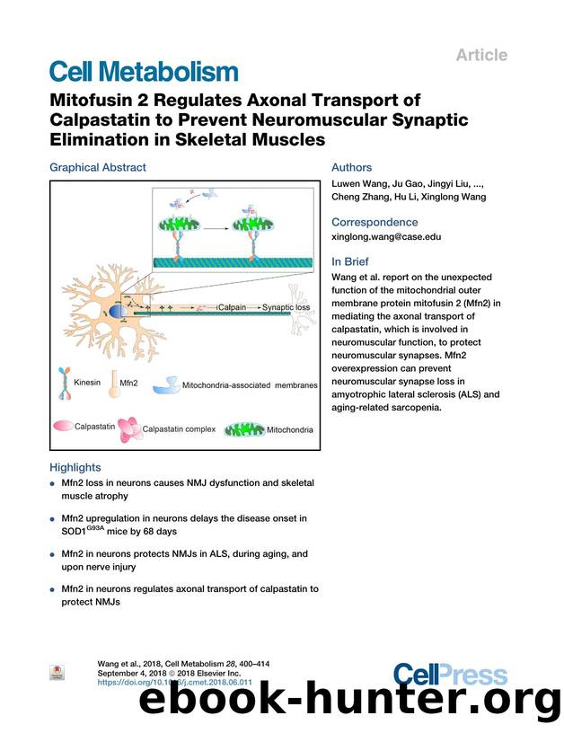 Mitofusin 2 Regulates Axonal Transport of Calpastatin to Prevent Neuromuscular Synaptic Elimination in Skeletal Muscles by unknow