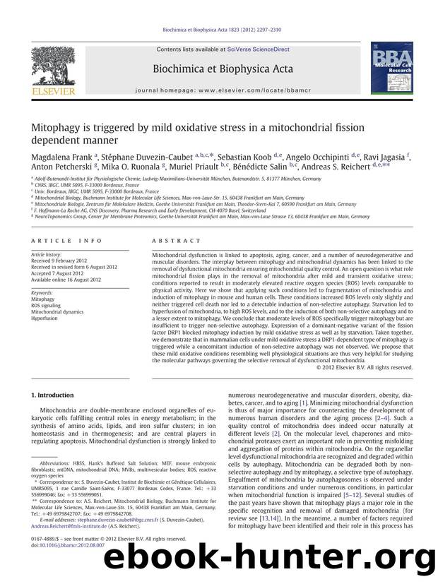 Mitophagy is triggered by mild oxidative stress in a mitochondrial fission dependent manner by unknow