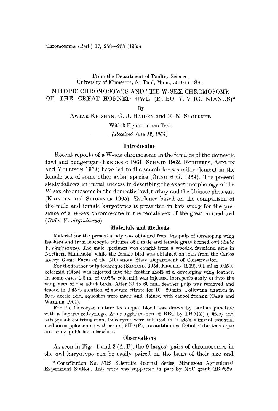 Mitotic chromosomes and the W-sex chromosome of the great horned owl (Bubo V. virginianus) by Unknown
