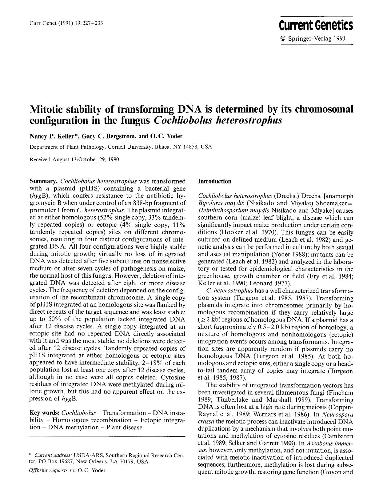 Mitotic stability of transforming DNA is determined by its chromosomal configuration in the fungus <Emphasis Type="Italic">Cochliobolus heterostrophus<Emphasis> by Unknown