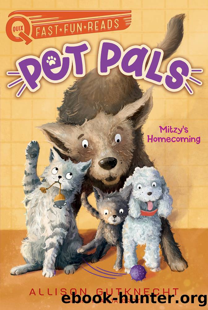 Mitzy's Homecoming by Allison Gutknecht