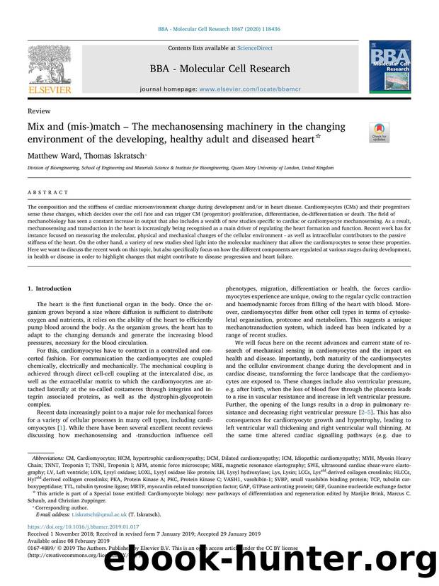 Mix and (mis-)match â The mechanosensing machinery in the changing environment of the developing, healthy adult and diseased heart by Matthew Ward & Thomas Iskratsch