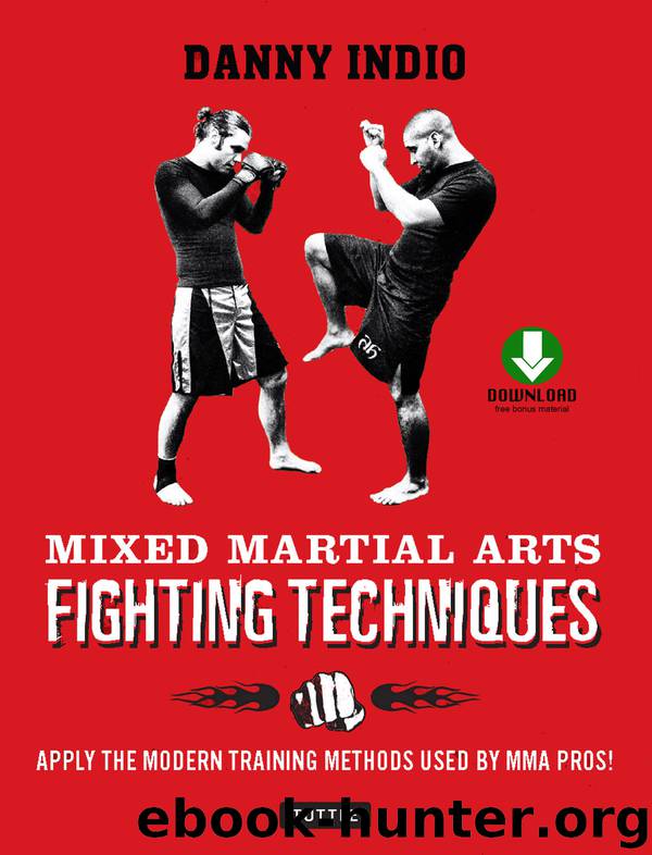 Mixed Martial Arts Fighting Techniques by Danny Indio