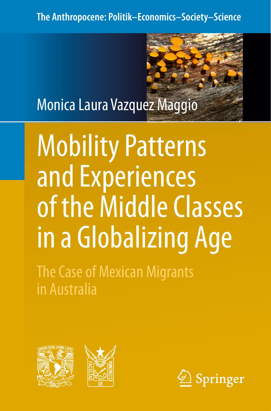 Mobility Patterns and Experiences of the Middle Classes in a Globalizing Age: The Case of Mexican Migrants in Australia by Monica Laura Vazquez Maggio (auth.)