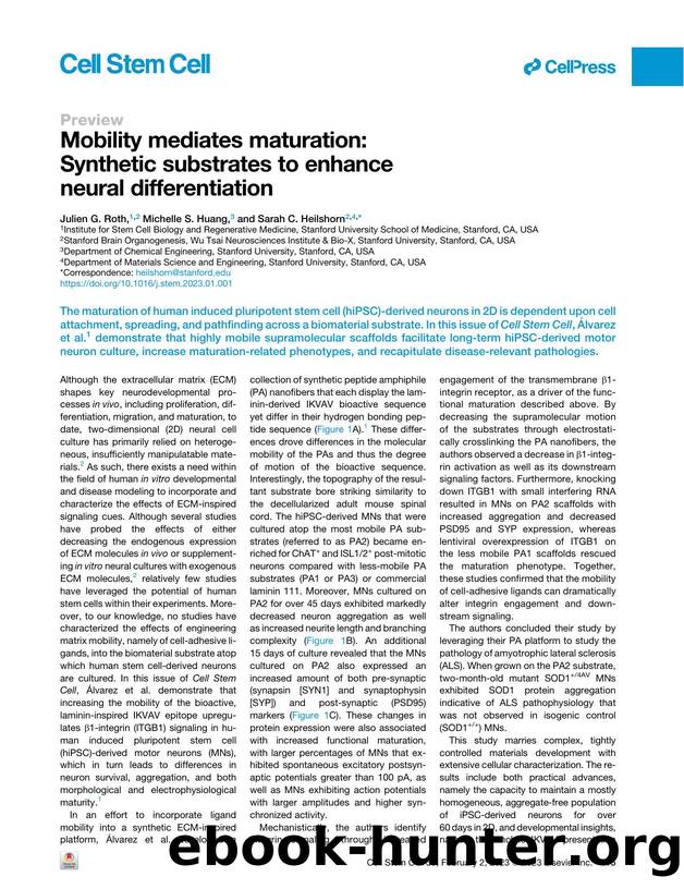 Mobility mediates maturation: Synthetic substrates to enhance neural differentiation by Julien G. Roth & Michelle S. Huang & Sarah C. Heilshorn