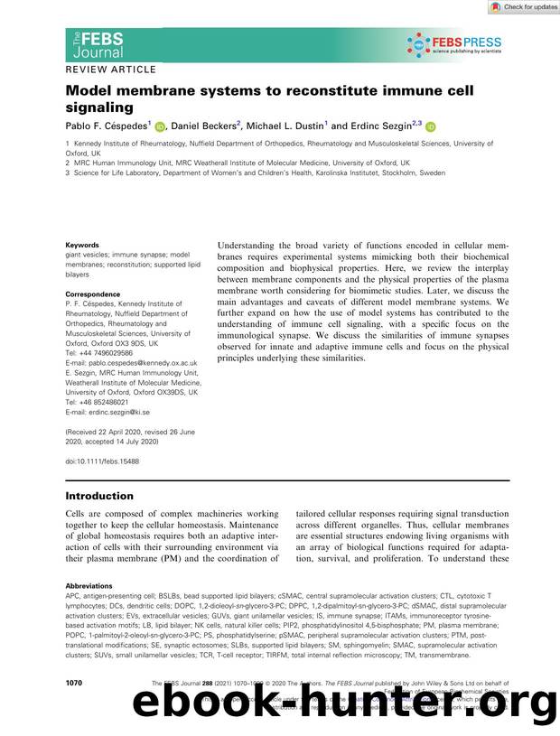 Model membrane systems to reconstitute immune cell signaling by Unknown
