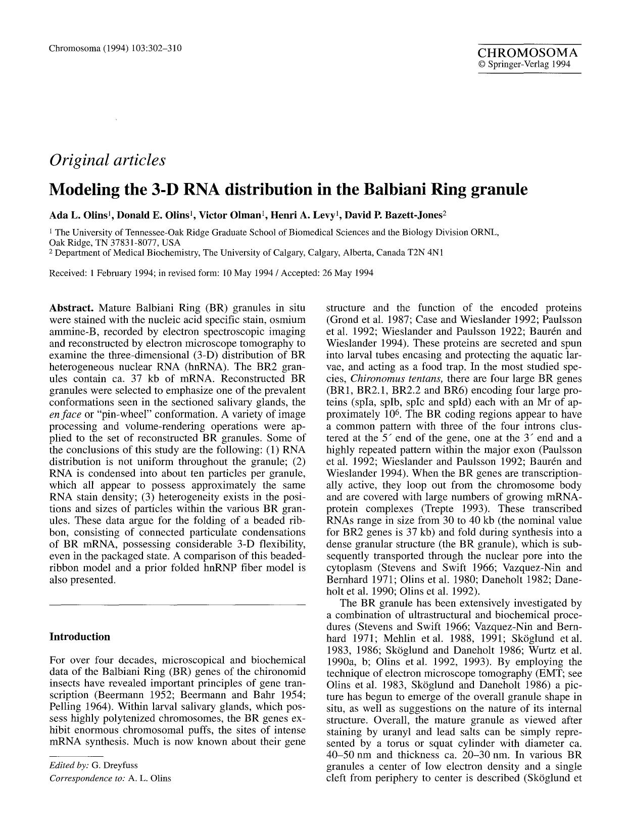 Modeling the 3-D RNA distribution in the Balbiani Ring granule by Unknown