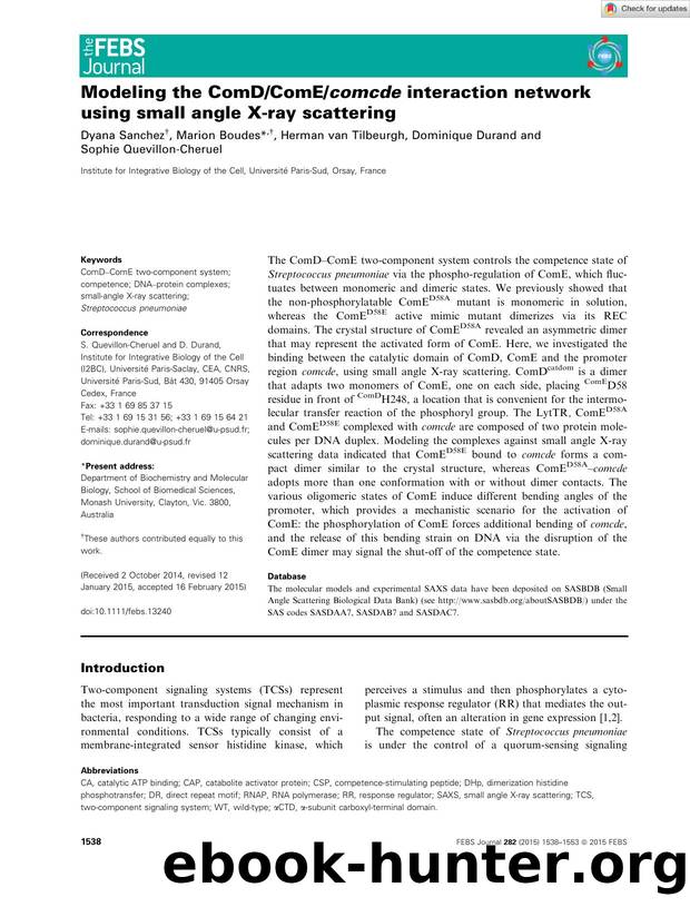 Modeling the ComDComEcomcde interaction network using small angle Xâray scattering by Unknown