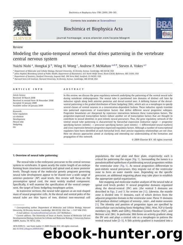 Modeling the spatio-temporal network that drives patterning in the vertebrate central nervous system by Yuichi Nishi; Hongkai Ji; Wing H. Wong; Andrew P. McMahon; Steven A. Vokes
