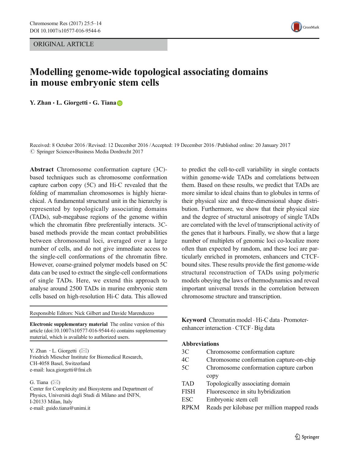 Modelling genome-wide topological associating domains in mouse embryonic stem cells by Y. Zhan & L. Giorgetti & G. Tiana