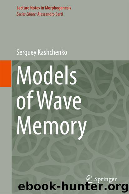 Models of Wave Memory by Serguey Kashchenko