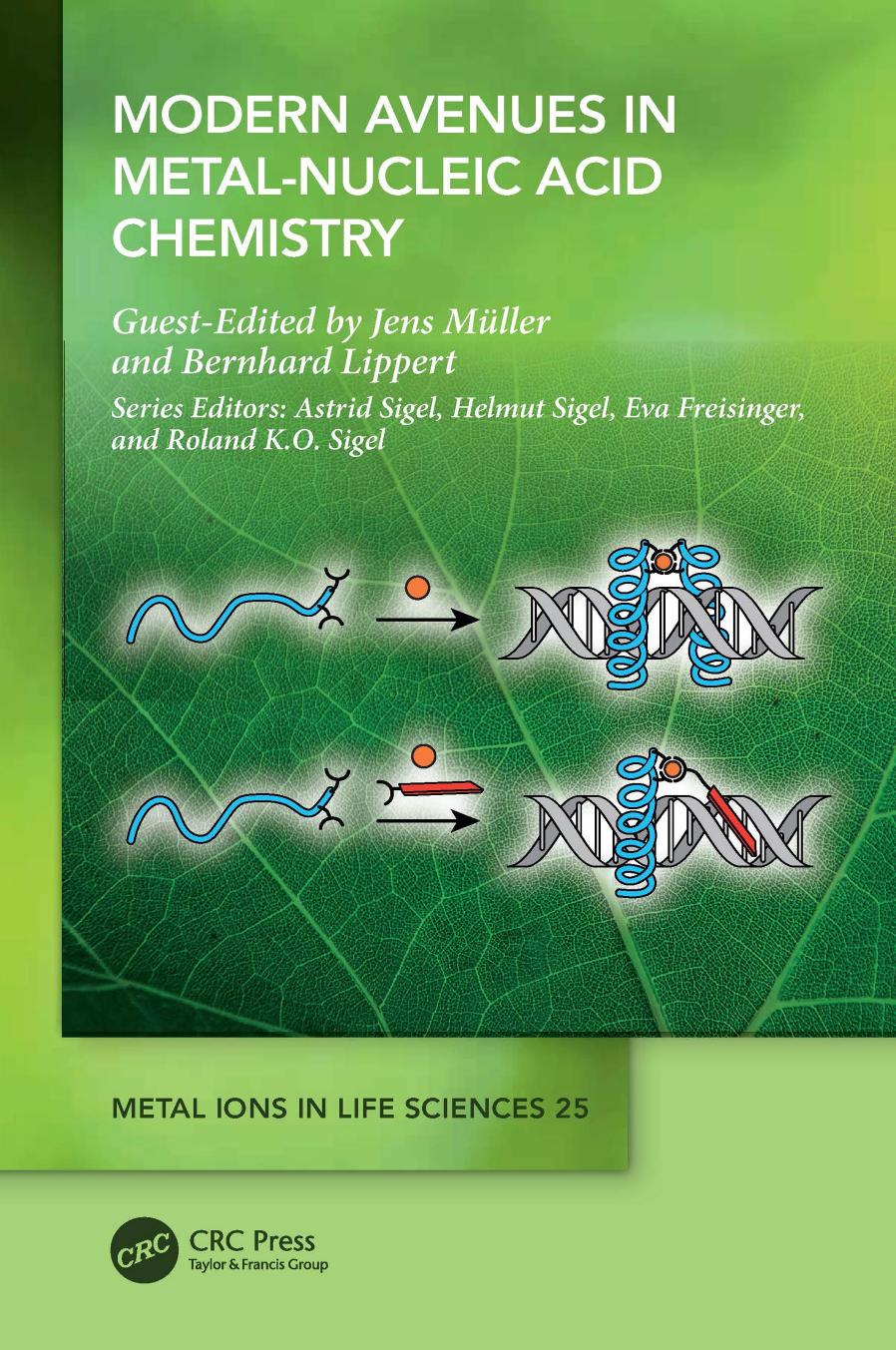 Modern Avenues in Metal-Nucleic Acid Chemistry by Müller J. Lippert B. (ed.)