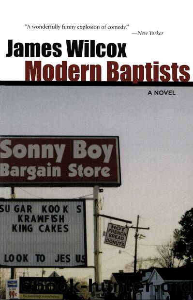 Modern Baptists by James Wilcox
