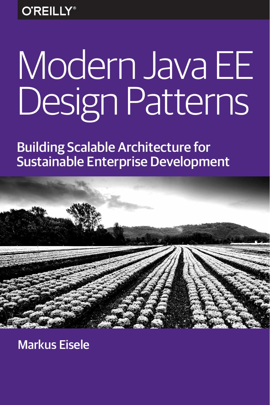 Modern Java EE Design Patterns: Building Scalable Architecture for Sustainable Enterprise Development by Marcus Eisele