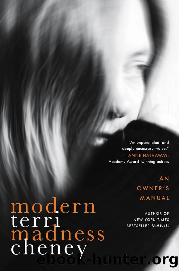 Modern Madness by Terri Cheney