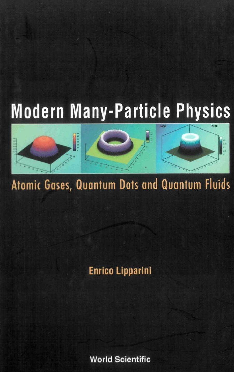 Modern Many Particle Physics by Lipparini