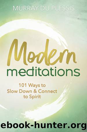 Modern Meditations by Murray du Plessis