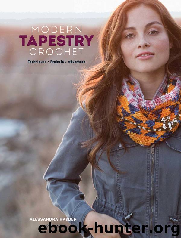 Modern Tapestry Crochet by Alessandra Hayden