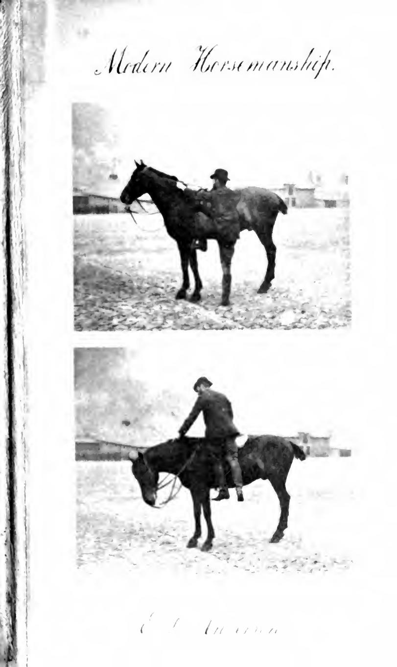 Modern horsemanship, three schools of riding : an original method of teaching the art by means of pictures from the life by Anderson Edward L. (Edward Lowell) 1842-1916