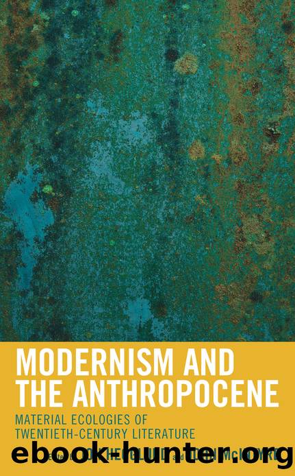 Modernism and the Anthropocene by Jon Hegglund;John McIntyre; & John McIntyre