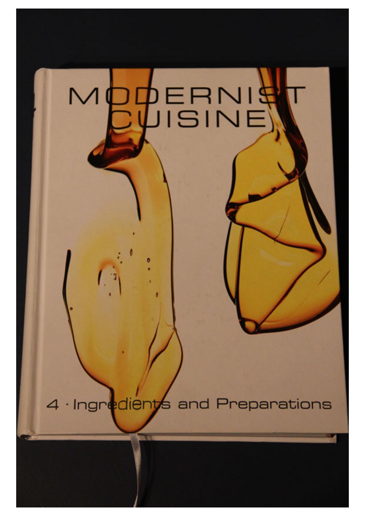 Modernist Cuisine 4 pdf file by Imaginary People