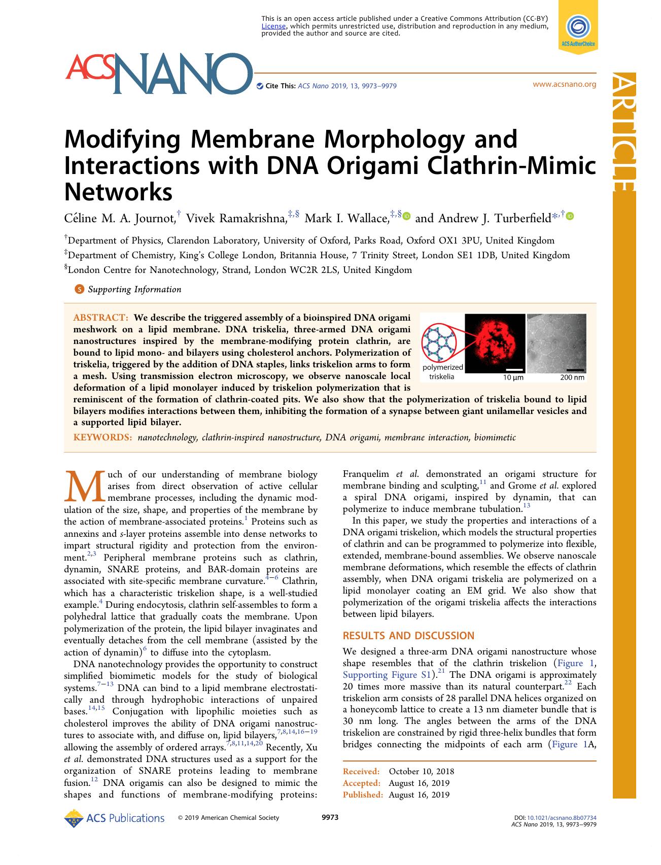 Modifying Membrane Morphology and Interactions with DNA Origami Clathrin-Mimic Networks by Céline M. A. Journot Vivek Ramakrishna Mark I. Wallace and Andrew J. Turberfield