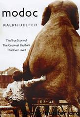 Modoc - The True Story of the Greatest Elephant That Ever Lived by Helfer Ralph