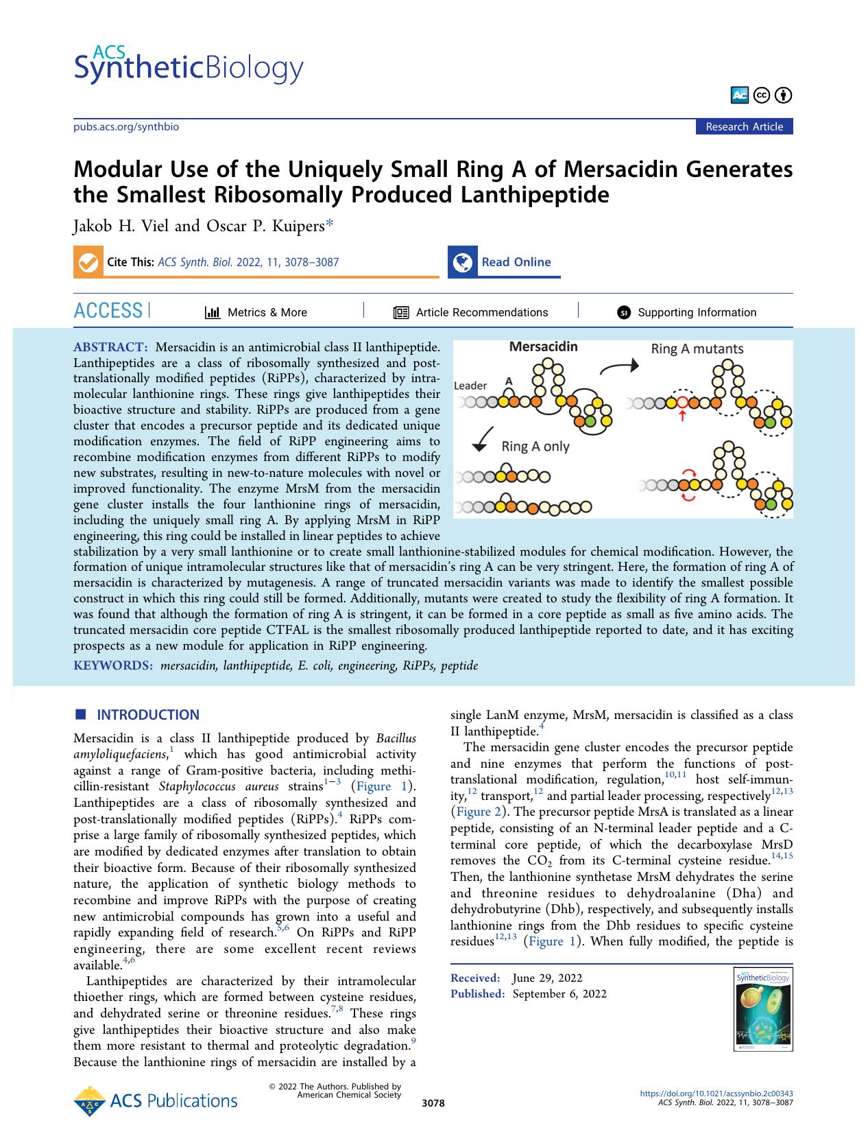 Modular Use of the Uniquely Small Ring A of Mersacidin Generates the Smallest Ribosomally Produced Lanthipeptide by Jakob H. Viel and Oscar P. Kuipers