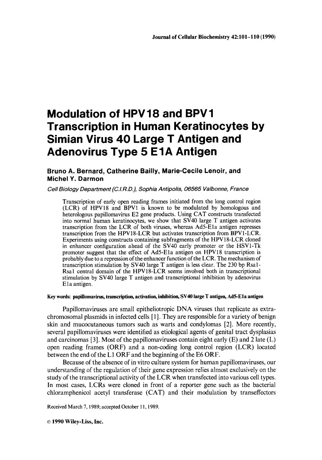 Modulation of HPV18 and BPV1 transcription in human keratinocytes by simian virus 40 large T antigen and adenovirus type 5 E1A antigen by Unknown