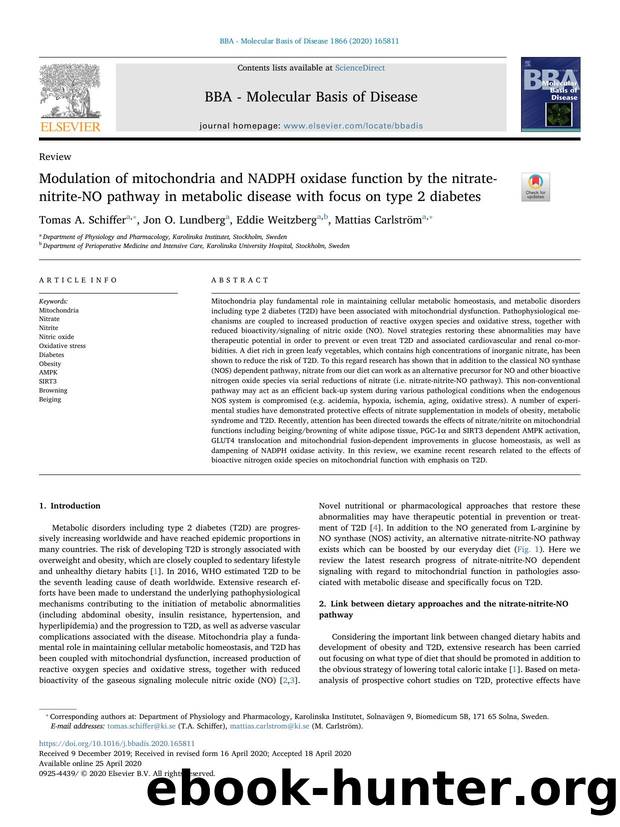 Modulation of mitochondria and NADPH oxidase function by the nitrate-nitrite-NO pathway in metabolic disease with focus on type 2 diabetes by Tomas A. Schiffer & Jon O. Lundberg & Eddie Weitzberg & Mattias Carlström
