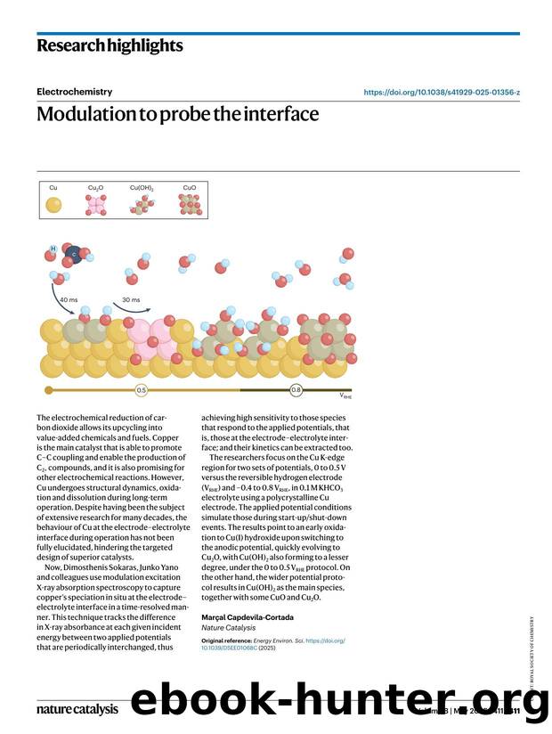 Modulation to probe the interface by Marçal Capdevila-Cortada