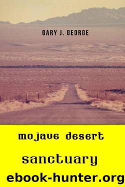 Mojave Desert Sanctuary by Gary J George