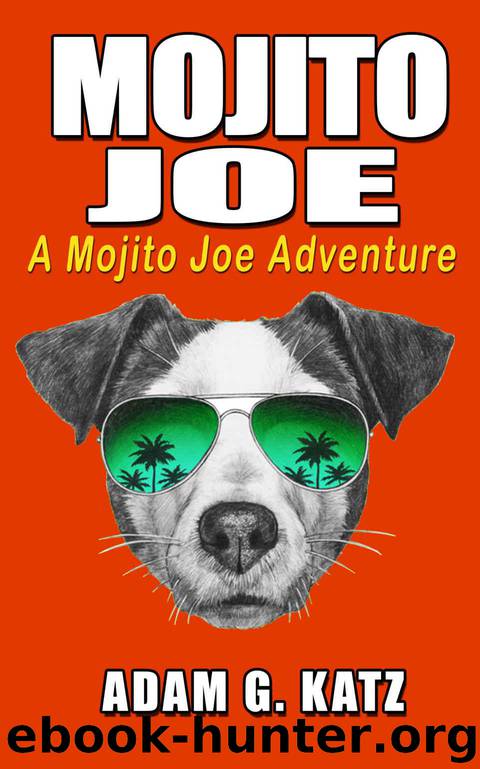Mojito Joe by Katz Adam G