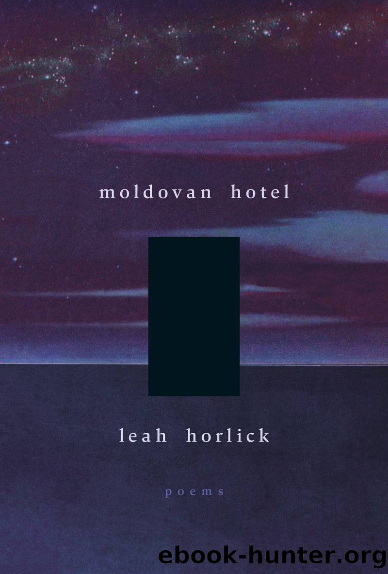 Moldovan Hotel by Leah Horlick